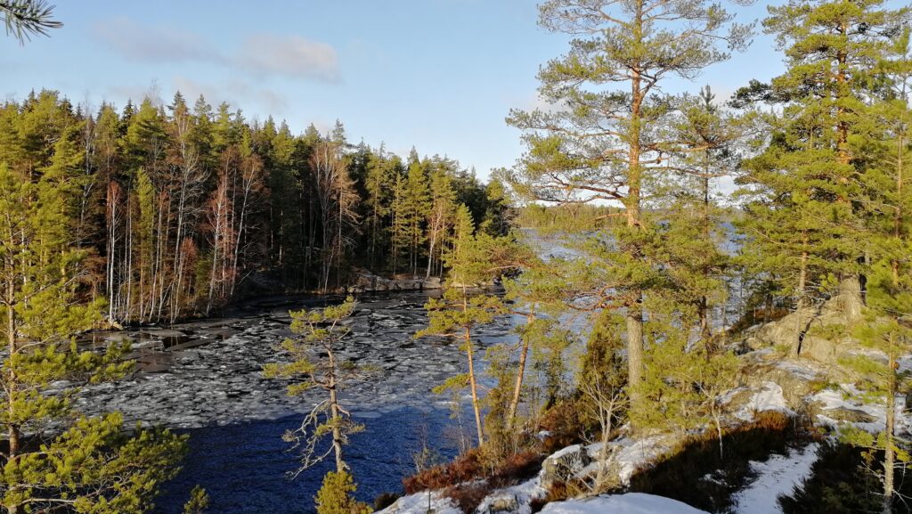 Näkymä järvelle Pirttisalmen luontopolulta.