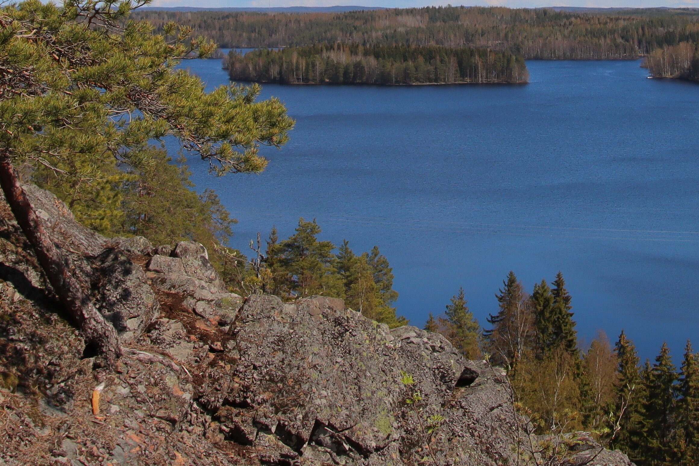 Luontokuva, kallio, Rautvuori.