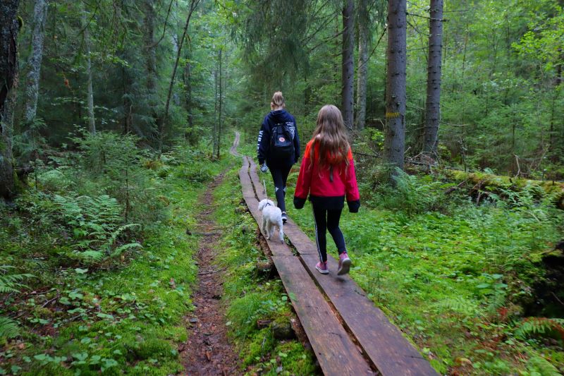 Sataojan luontopolulla nainen, lapsi ja koira kävelevät.